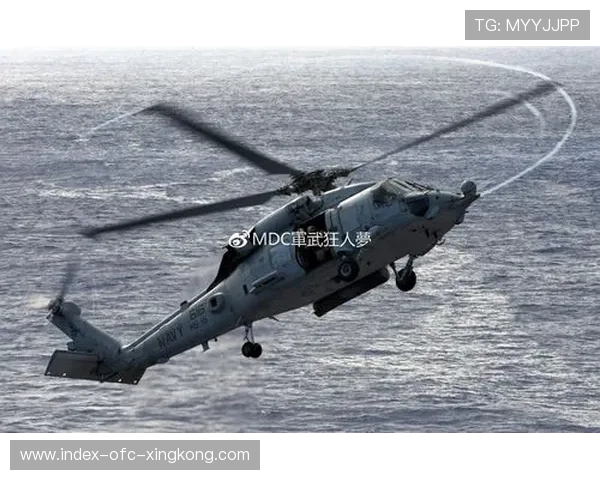 海鹰赢下关键分区战，季后赛前景光明，海鹰资讯