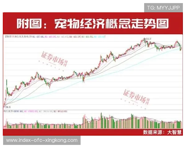 国家队被讨论为市场估值变化的可能因素